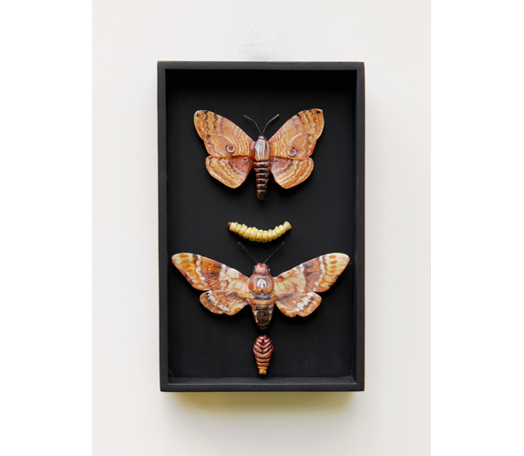 "Moths with Children" - Loralin Toney